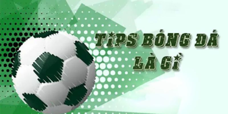 Tips bóng đá SUN88
