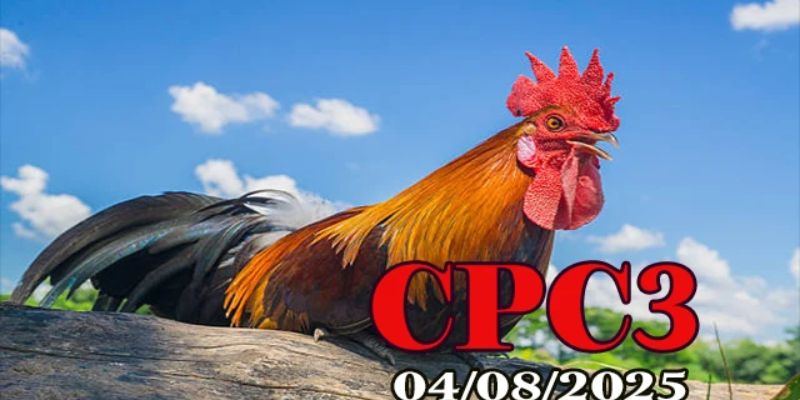 Trực tiếp đá gà cpc3